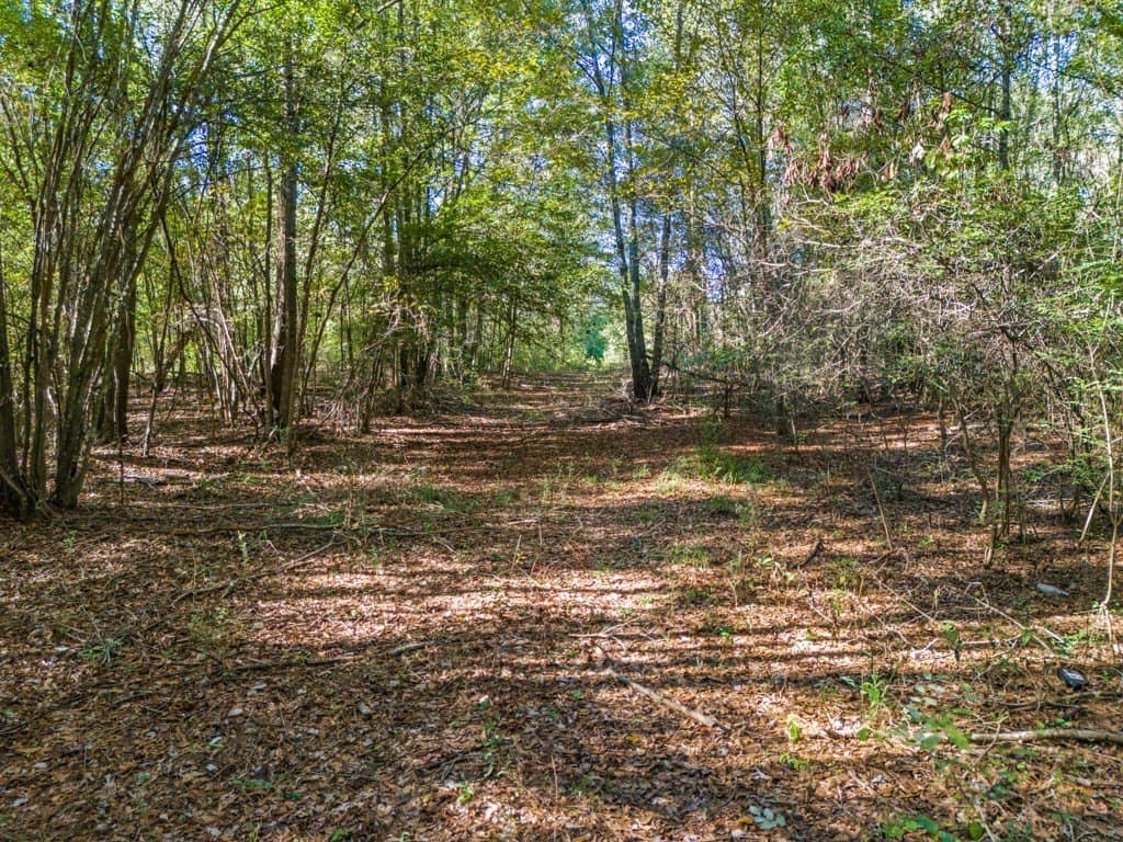 24.11 acres in Camp County - photo 3