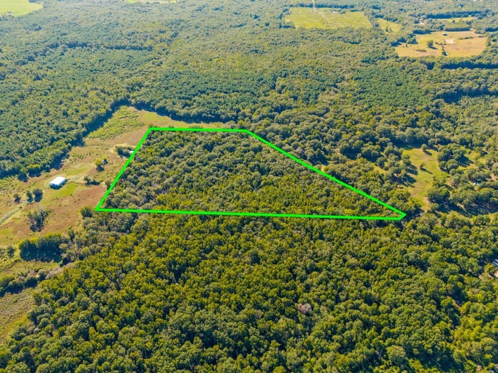 24.11 acres in Camp County - photo 6