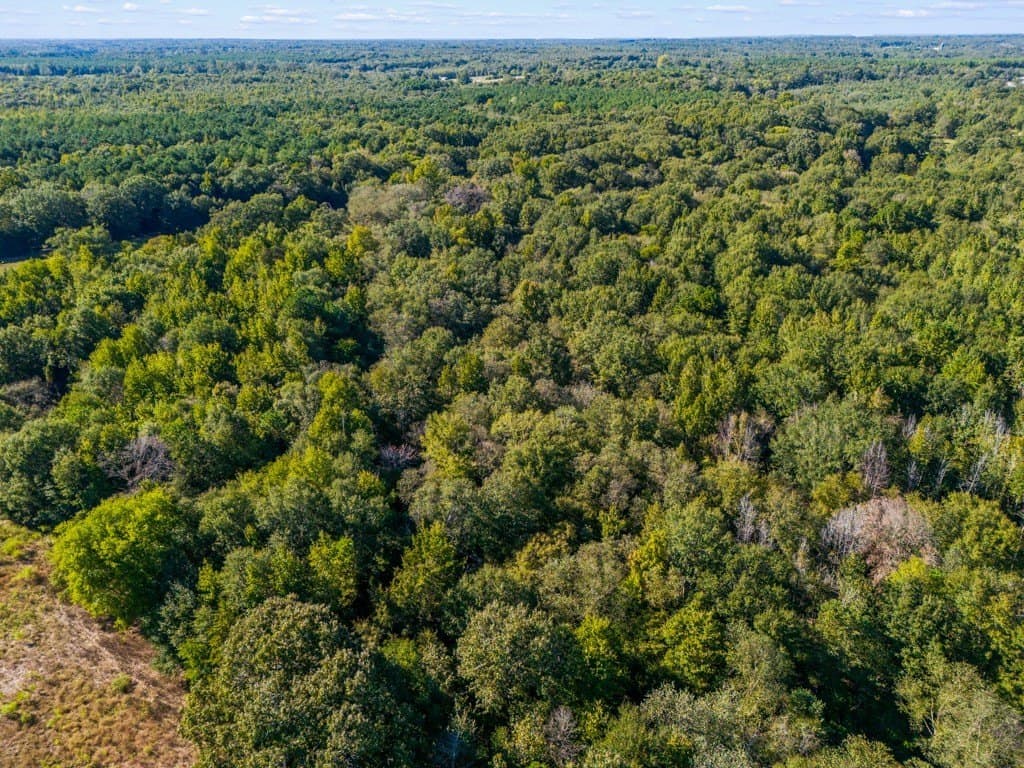 24.11 acres in Camp County - photo 11
