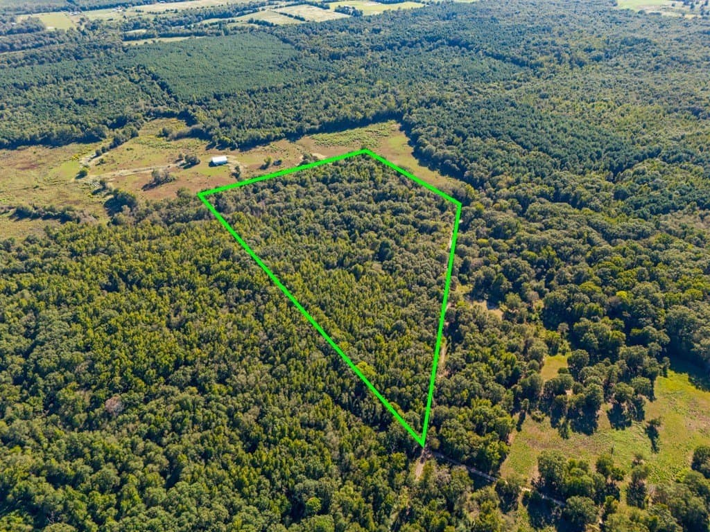 24.11 acres in Camp County - photo 7