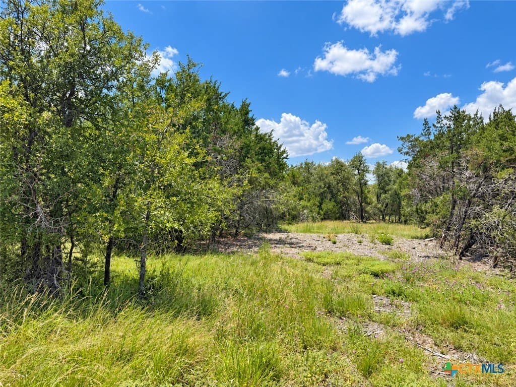 2.22 acres in Bell County - photo 7