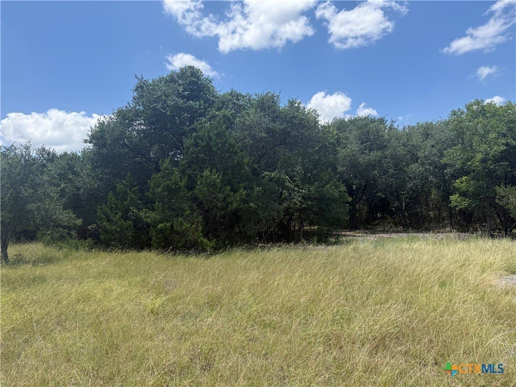 2.22 acres in Bell County gallery image 4
