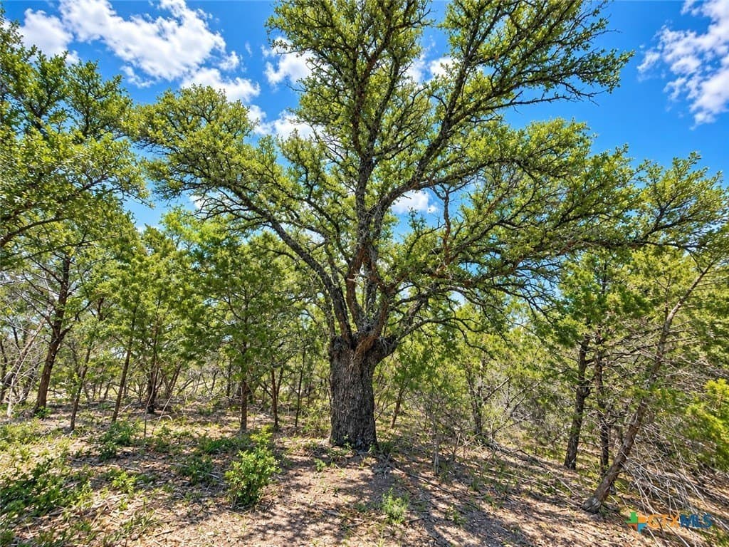 2.22 acres in Bell County - photo 5