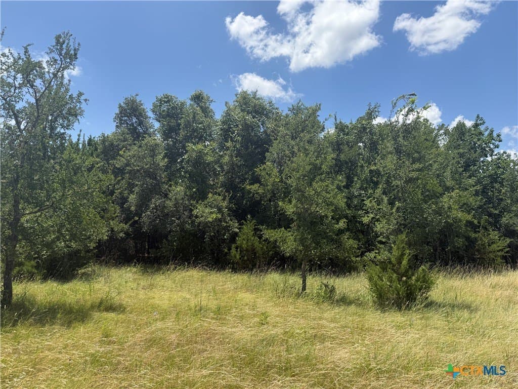 2.22 acres in Bell County - photo 6