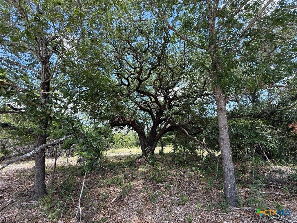 2.22 acres in Bell County gallery image 3
