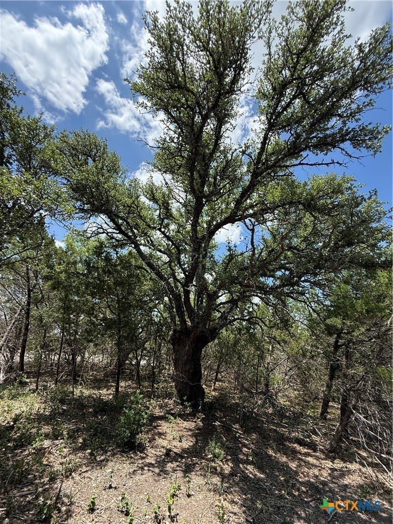 2.22 acres in Bell County - photo 8