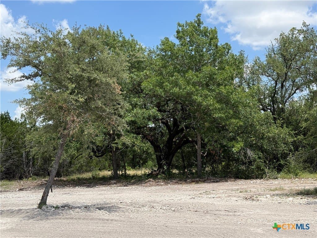 2.22 acres in Bell County gallery image 2