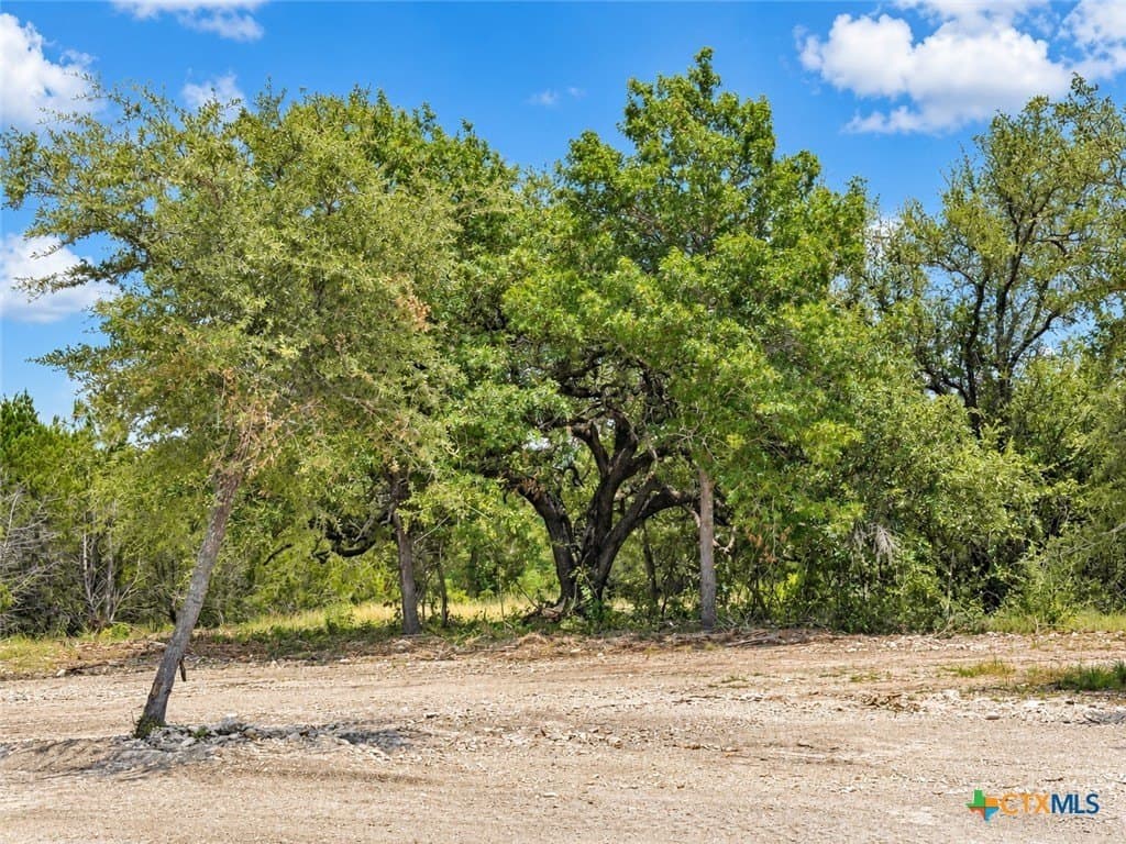 2.22 acres in Bell County - photo 8