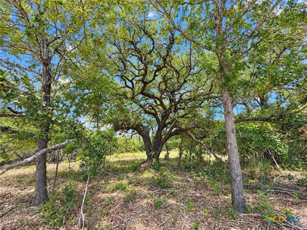 2.22 acres in Bell County - photo 6