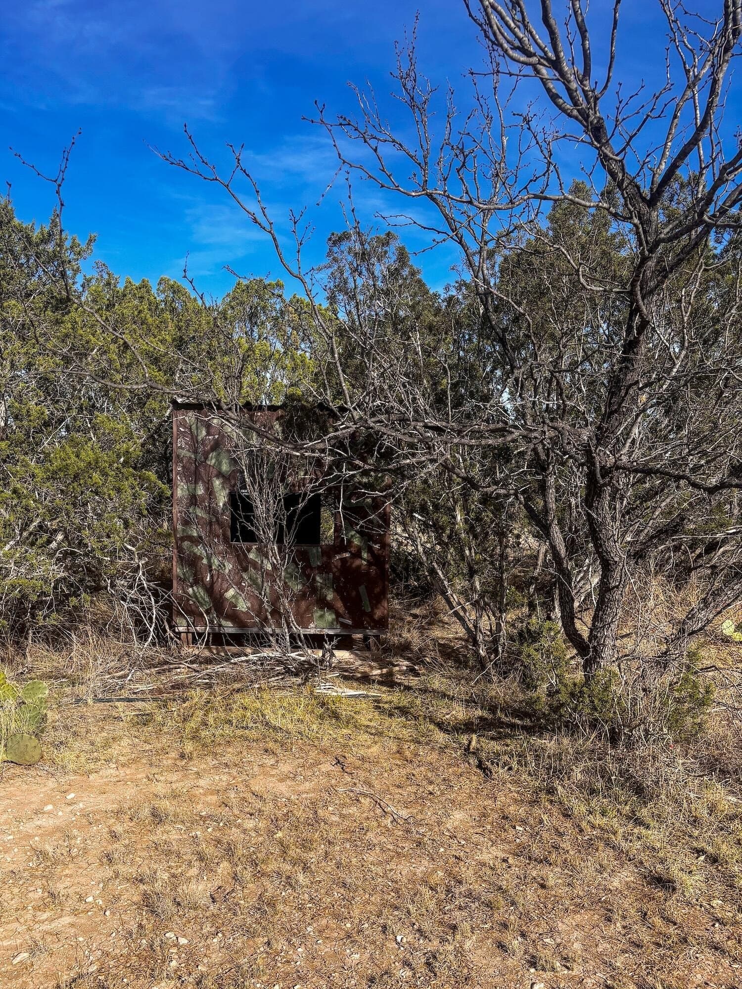 45.36 acres in Val Verde County - photo 10