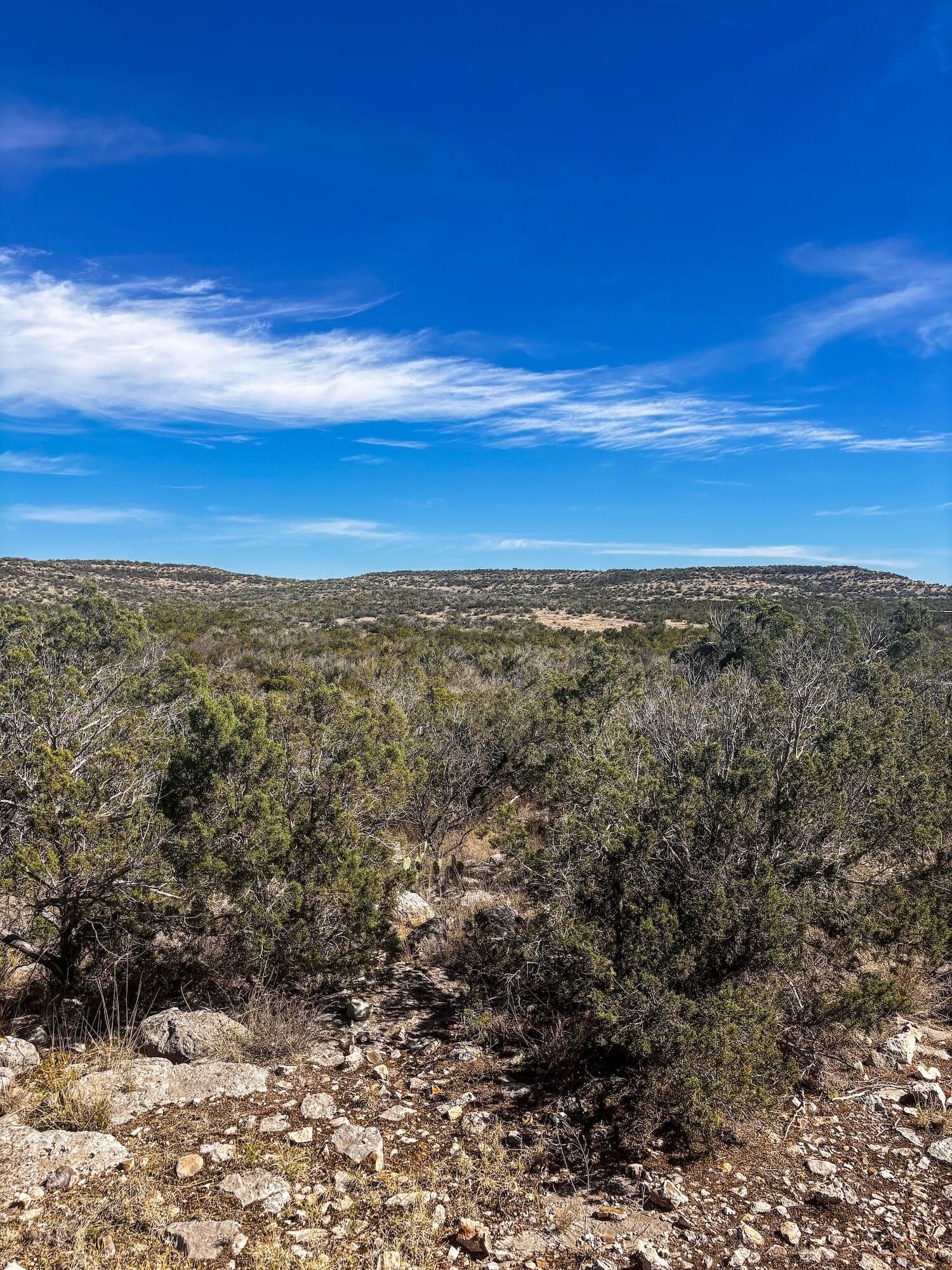 45.36 acres in Val Verde County