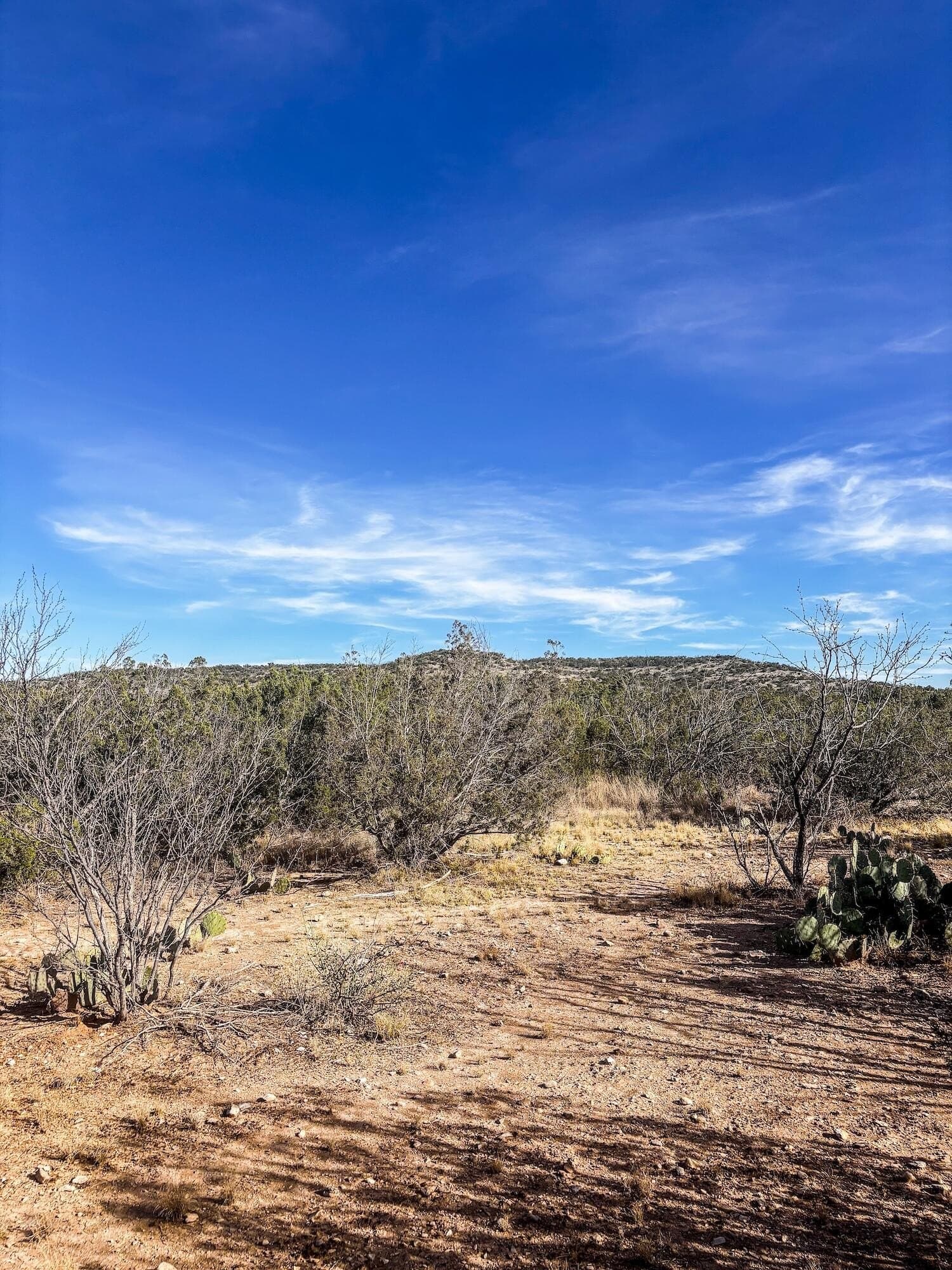 45.36 acres in Val Verde County - photo 8