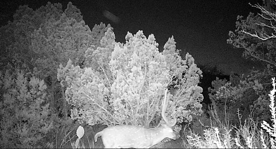 45.36 acres in Val Verde County gallery image 2