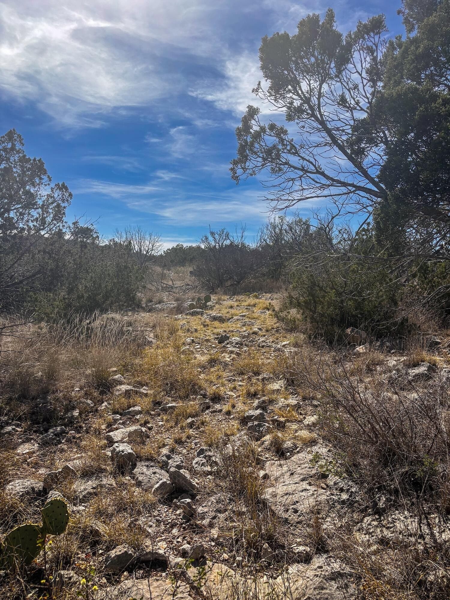45.36 acres in Val Verde County gallery image 4