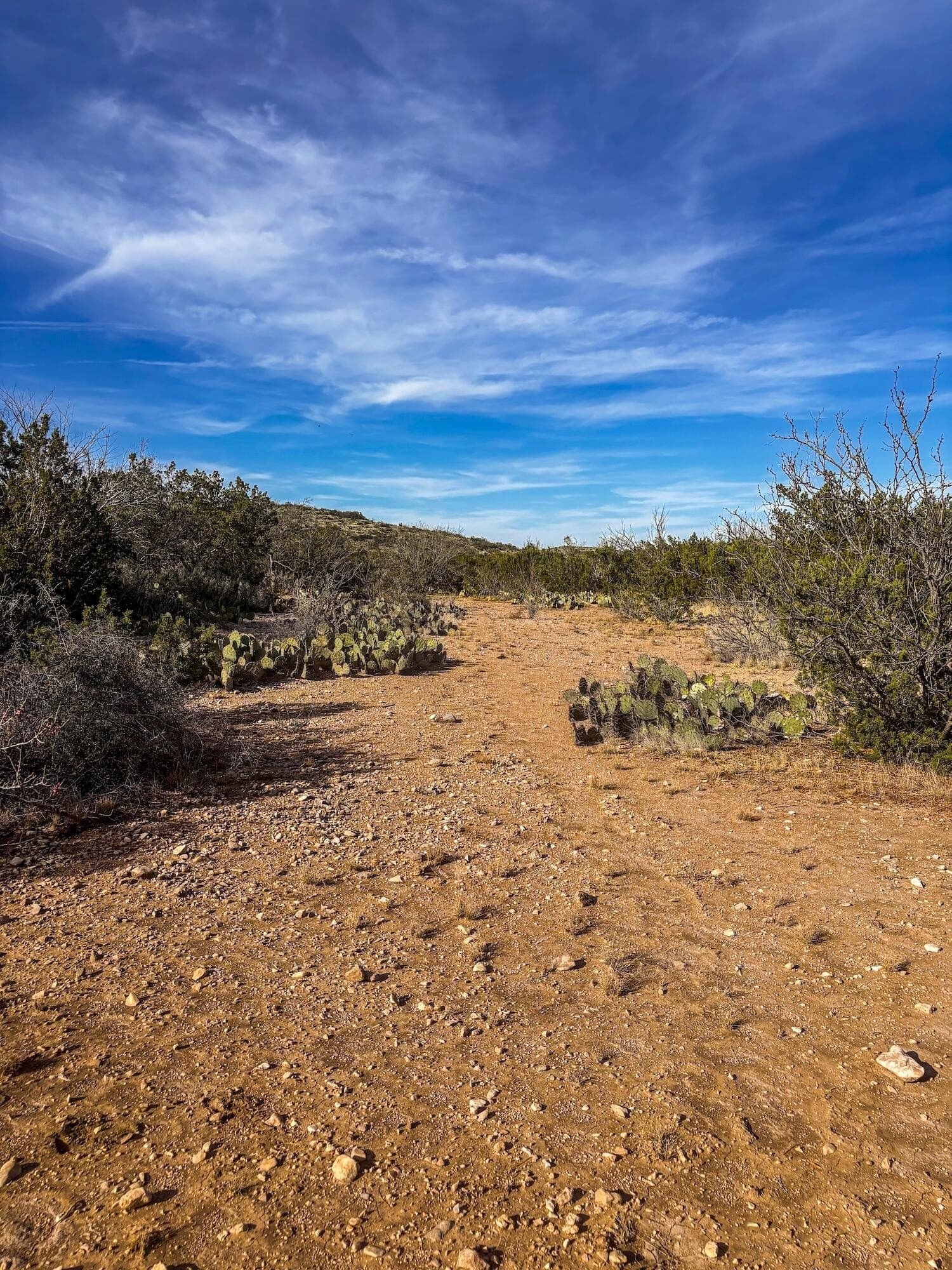 45.36 acres in Val Verde County - photo 11