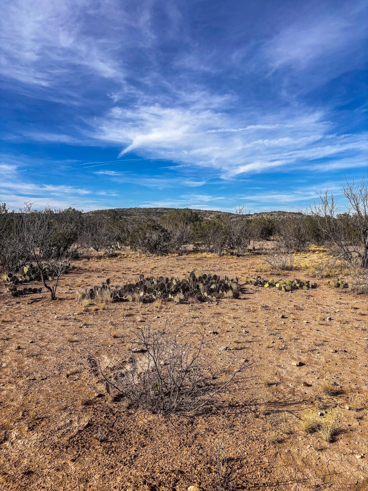 45.36 acres in Val Verde County - photo 9