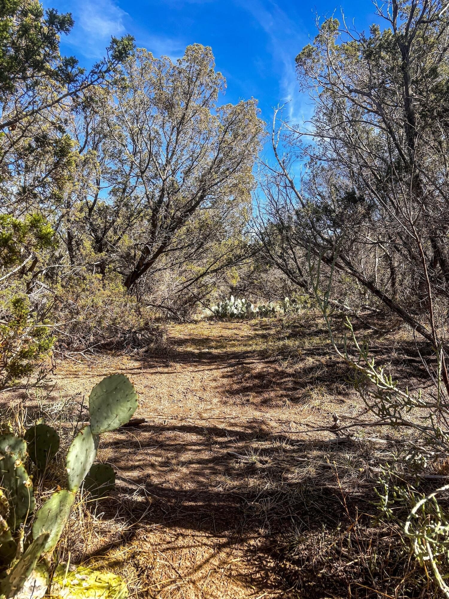 45.36 acres in Val Verde County - photo 7