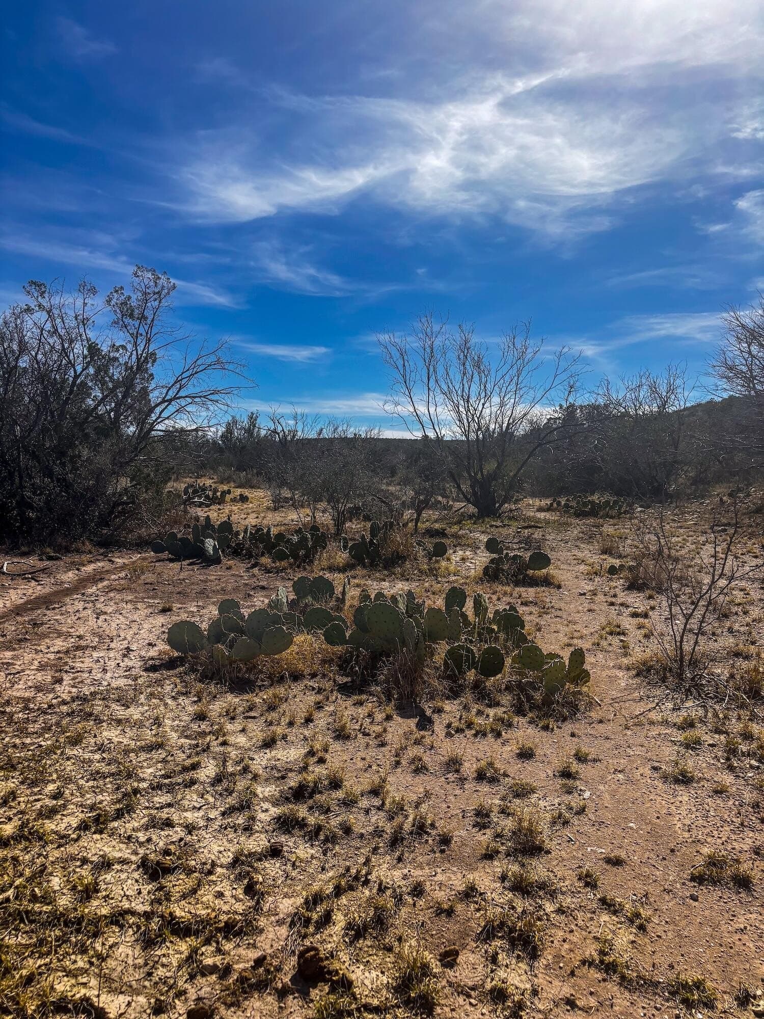 45.36 acres in Val Verde County featured view