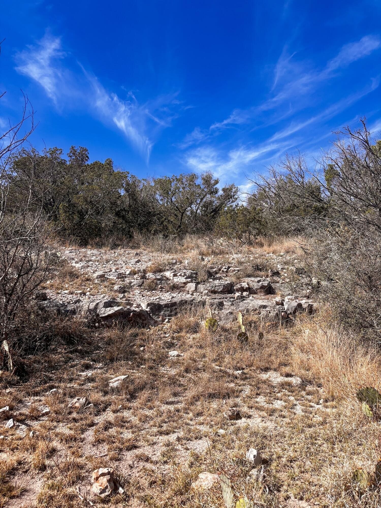 45.36 acres in Val Verde County - photo 6