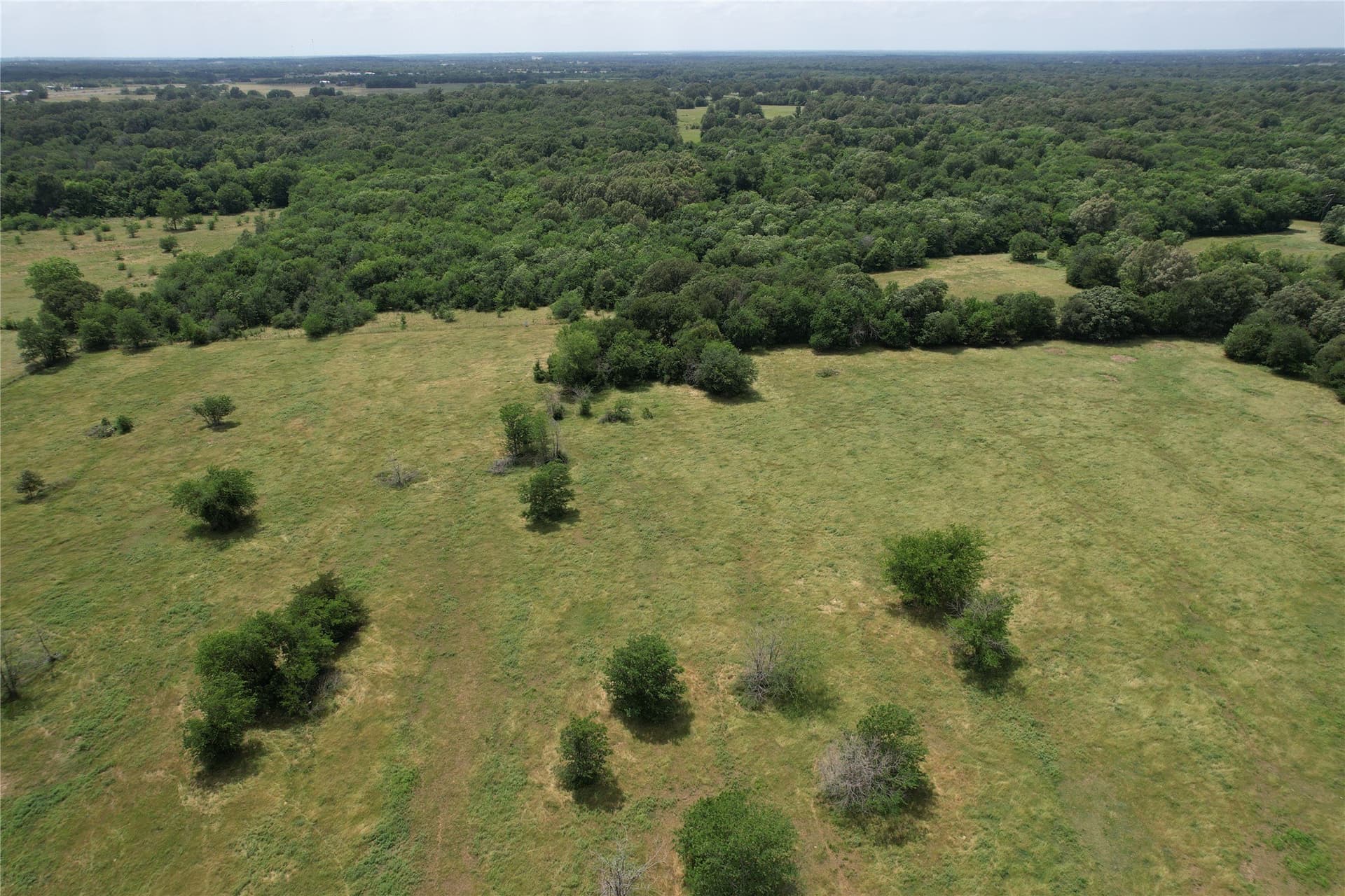 35.5 acres in Hopkins County gallery image 2