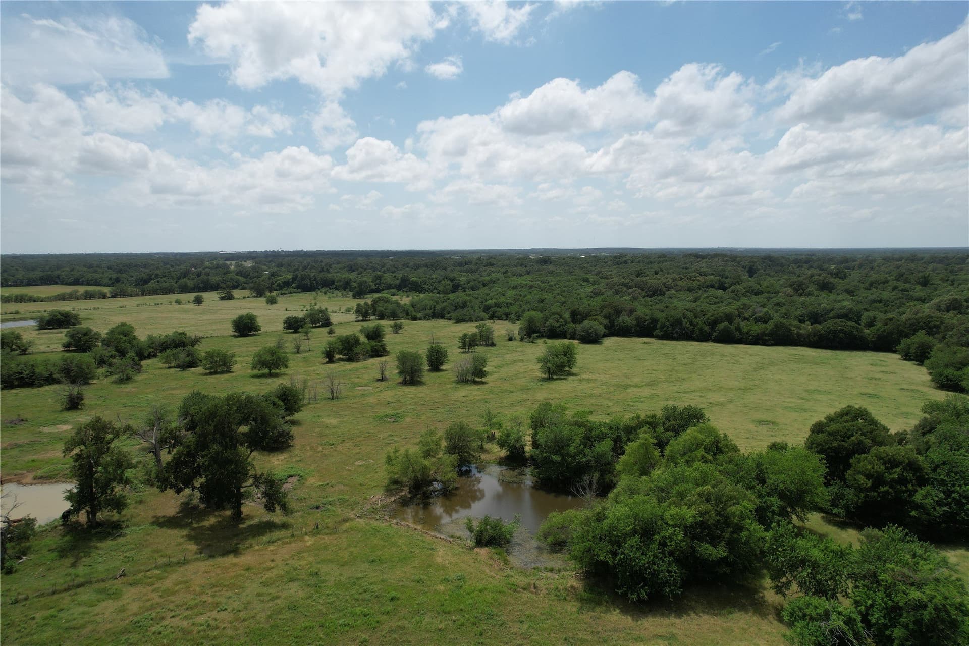 35.5 acres in Hopkins County gallery image 3