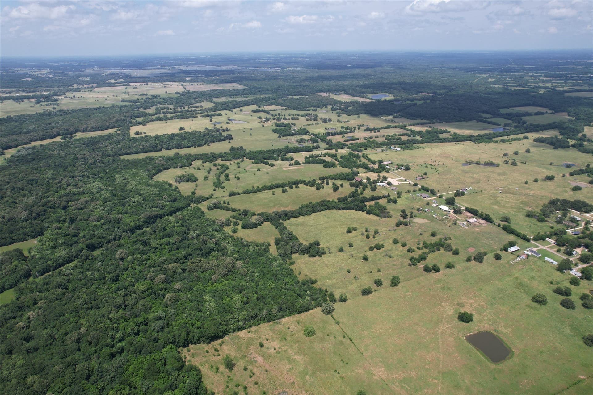 35.5 acres in Hopkins County gallery image 4
