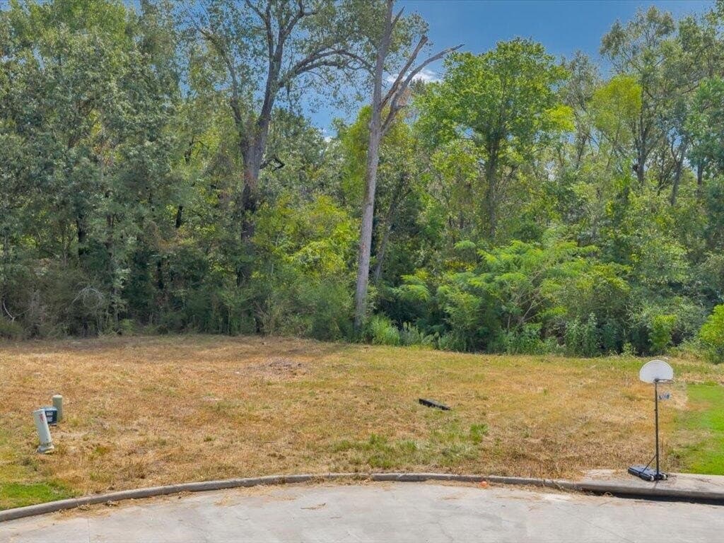 0.38 acres in Texas County - photo 12