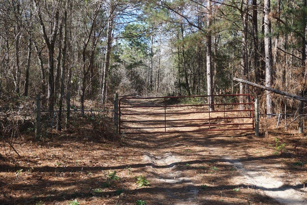 178.67 acres in ANDERSON County gallery image 2