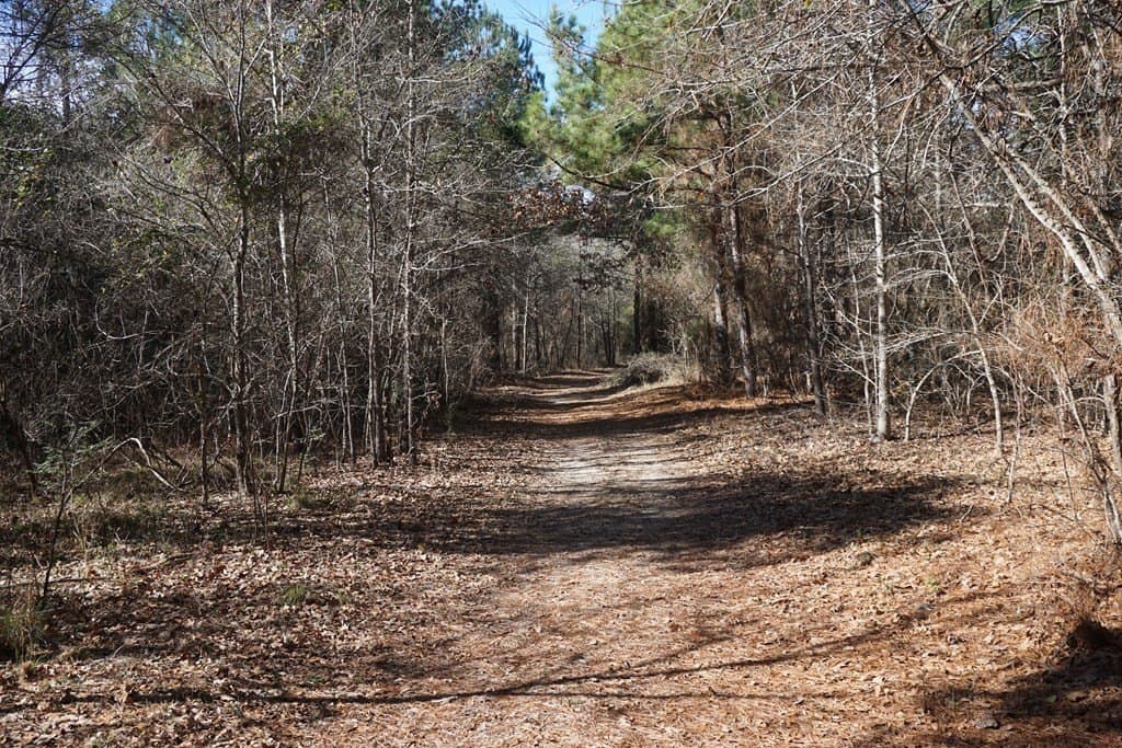 178.67 acres in ANDERSON County gallery image 4
