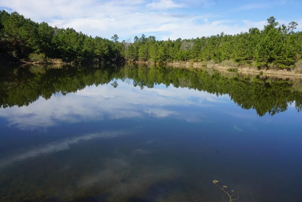 178.67 acres in ANDERSON County