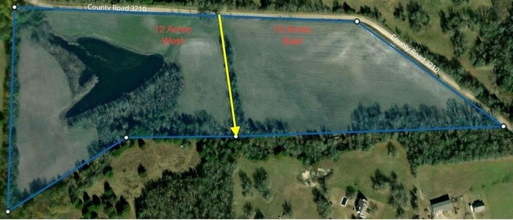12.5 acres in Fannin County gallery image 2