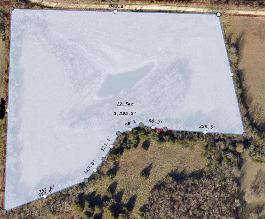 12.5 acres in Fannin County gallery image 3