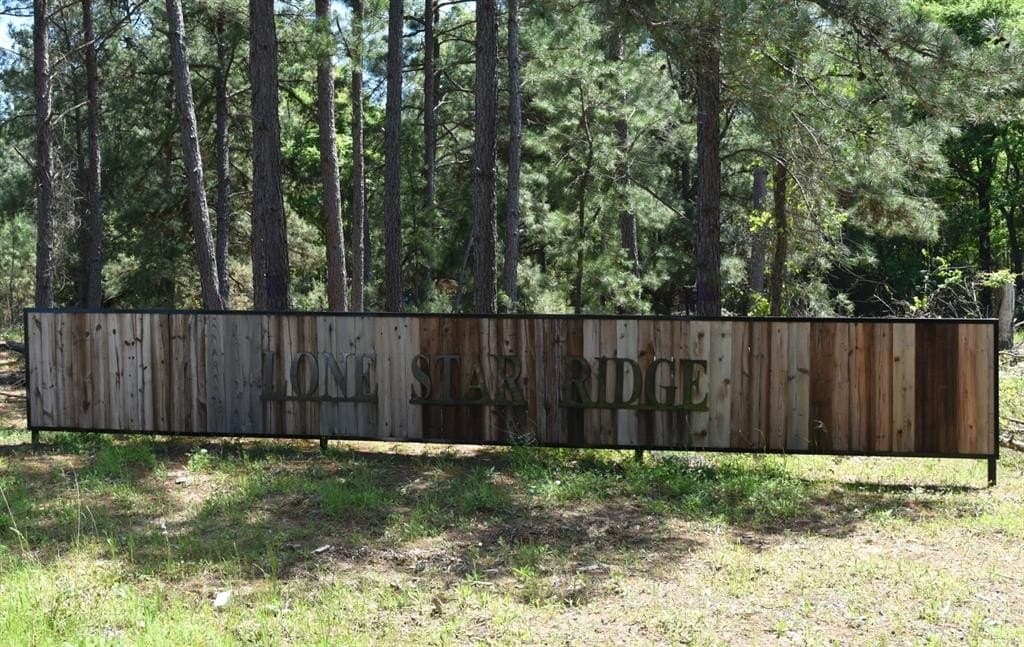 10.01 acres in Houston County gallery image 2