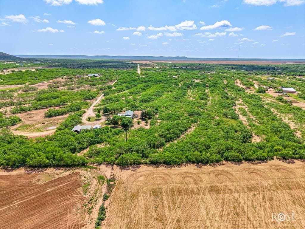 14.97 acres in Tom Green County - photo 44