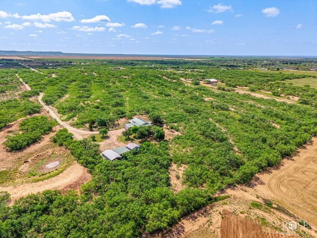 14.97 acres in Tom Green County - photo 43
