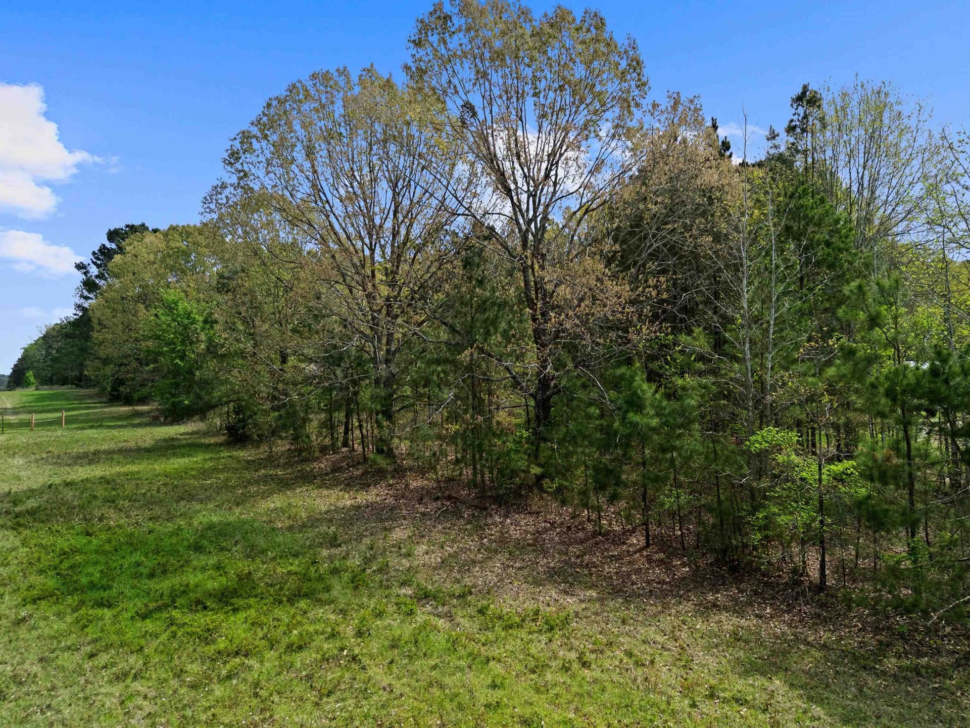 3.43 acres in Texas County - photo 17