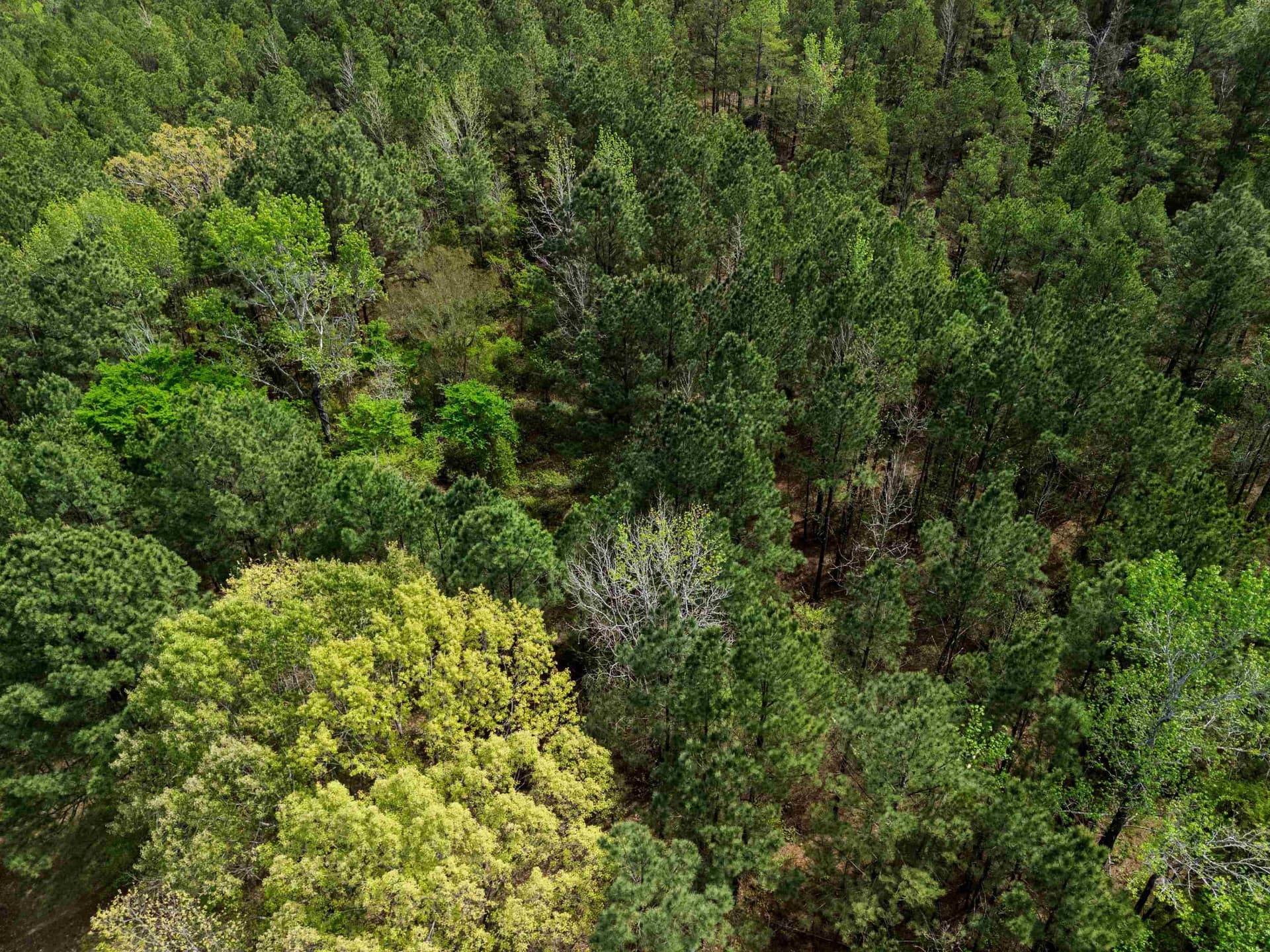 3.43 acres in Texas County - photo 11