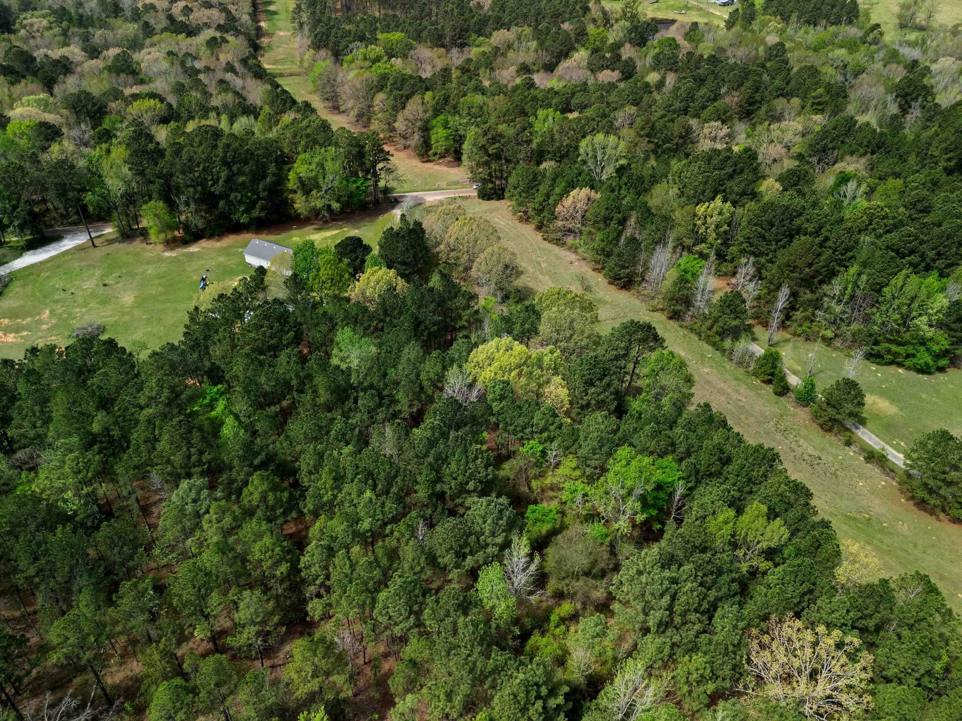3.43 acres in Texas County - photo 13