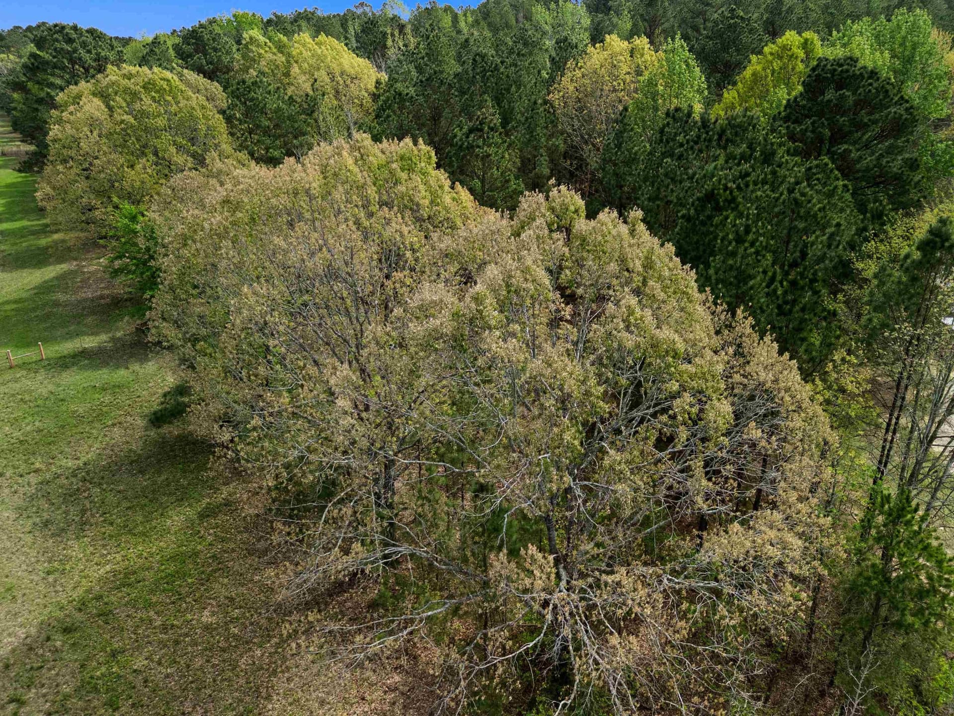 3.43 acres in Texas County - photo 18