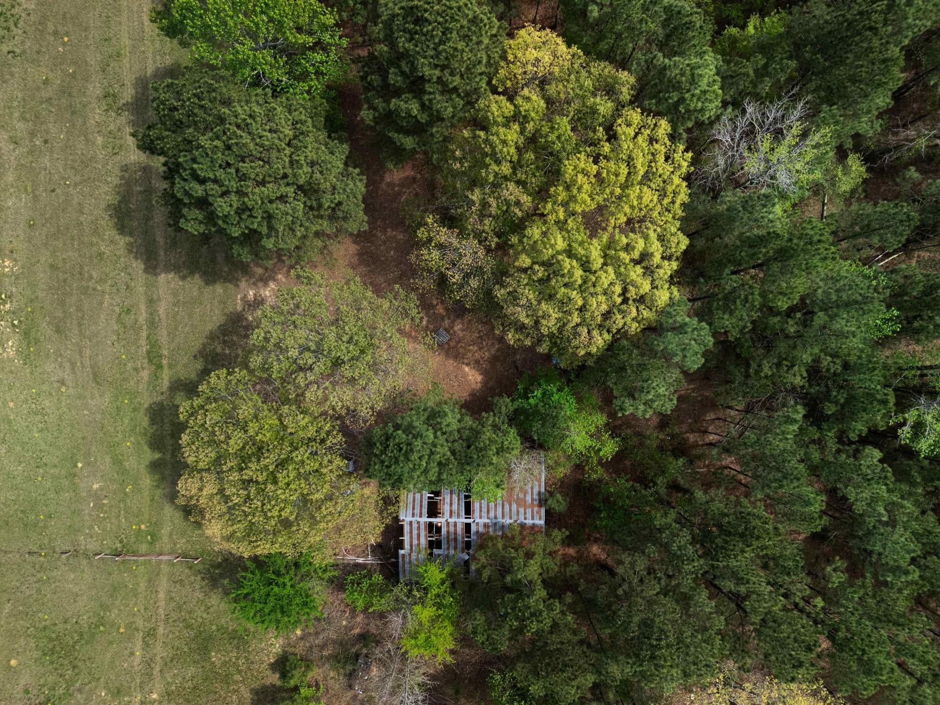 3.43 acres in Texas County - photo 6
