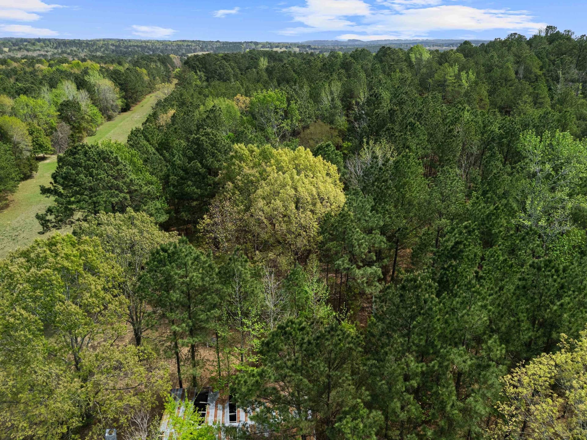 3.43 acres in Texas County - photo 19