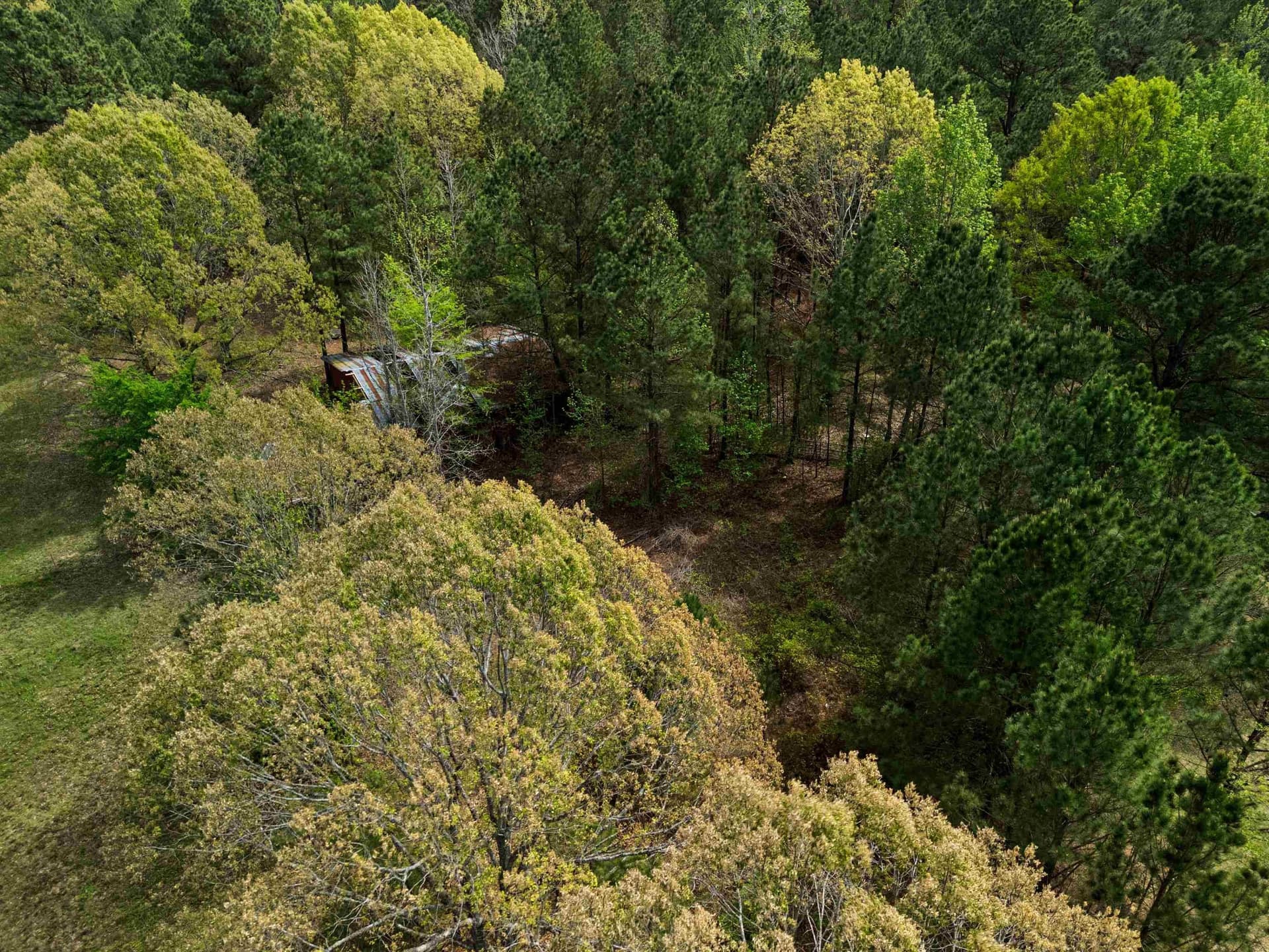 3.43 acres in Texas County - photo 10