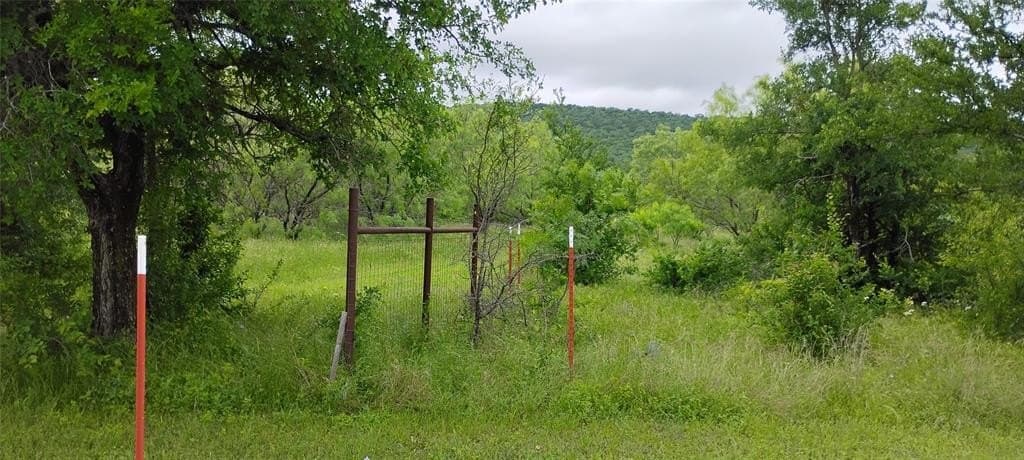 10 acres in Palo Pinto County gallery image 3