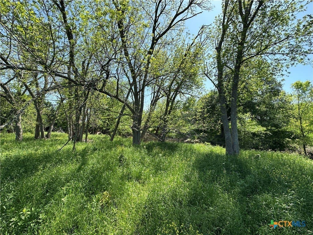64.08 acres in Bell County - photo 24