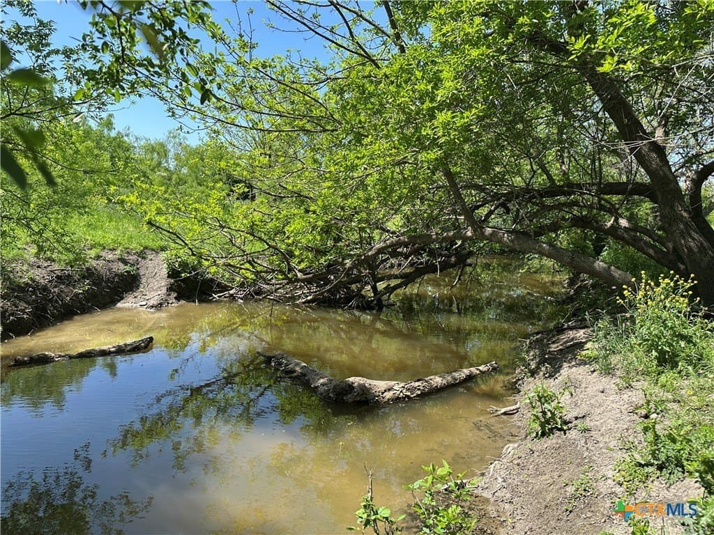 64.08 acres in Bell County featured view