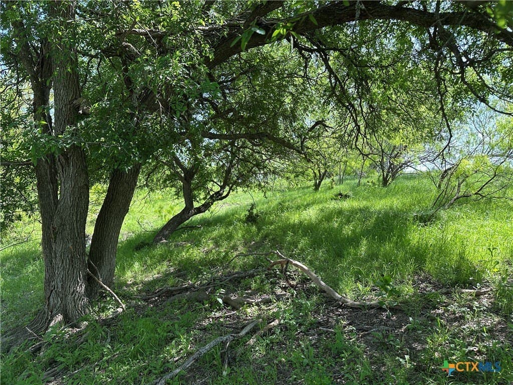 64.08 acres in Bell County - photo 25