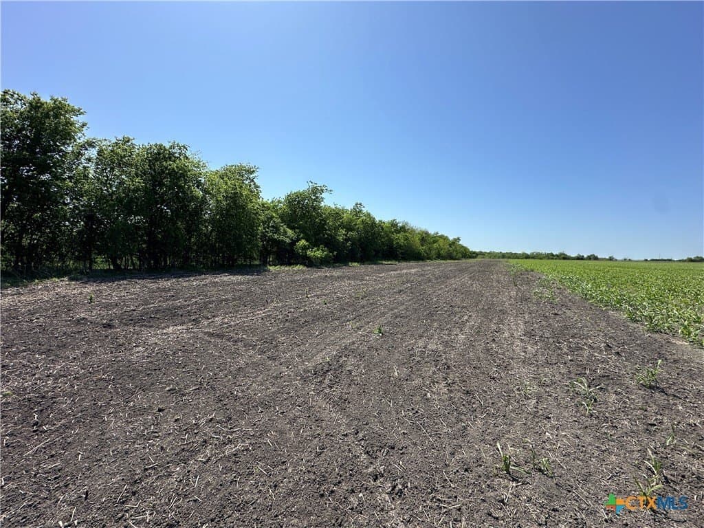 64.08 acres in Bell County - photo 22