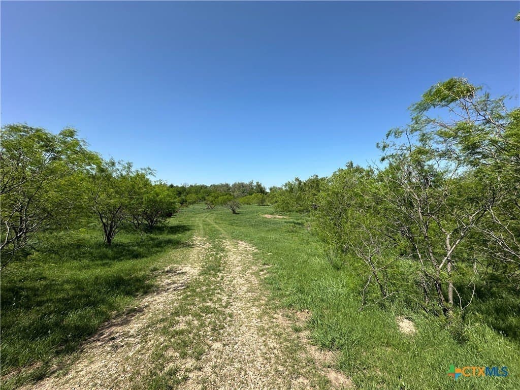 64.08 acres in Bell County - photo 21