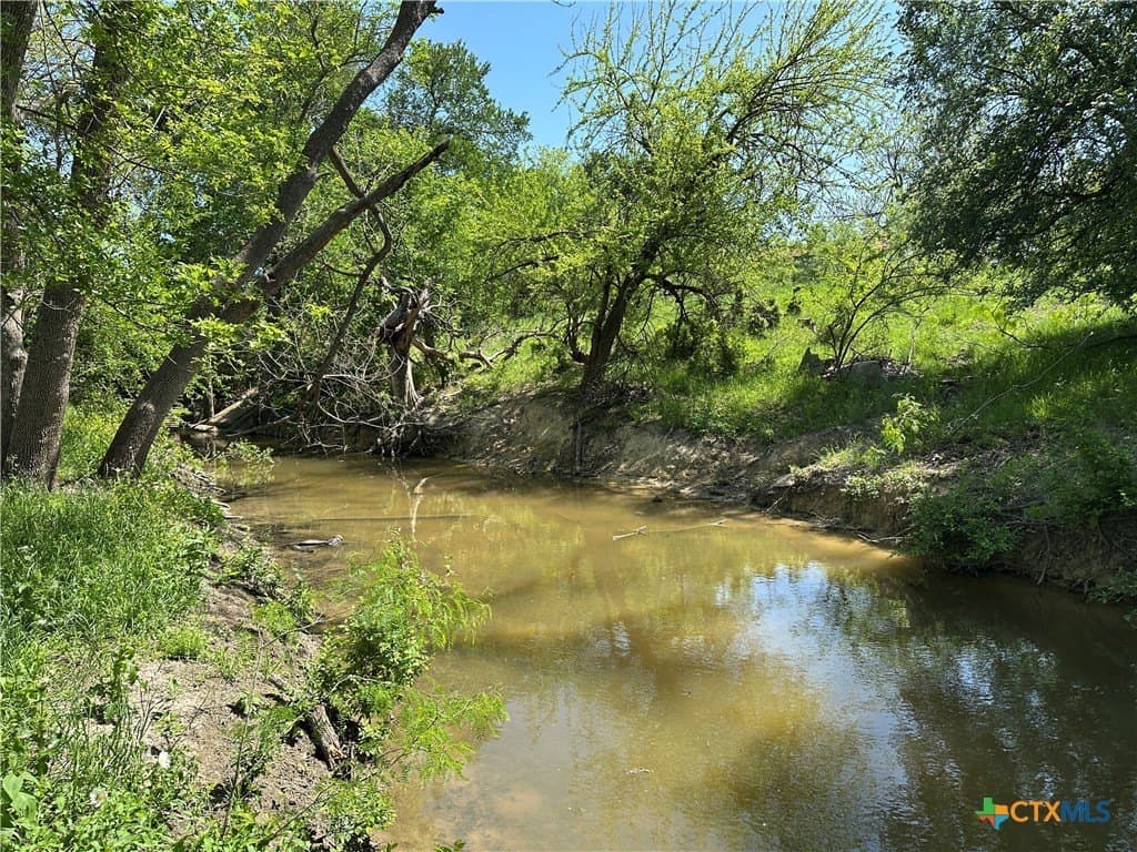 64.08 acres in Bell County gallery image 4