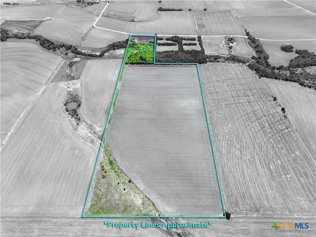 64.08 acres in Bell County - photo 6